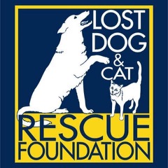 lost dog and cat logo
